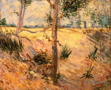Vincent Van Gogh œuvres - Arbres dans un champ par une journée ensoleillée Vincent van Gogh